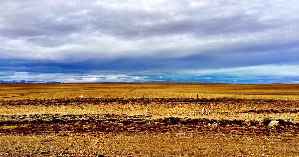 Patagonian Desert - largest deserts in the world