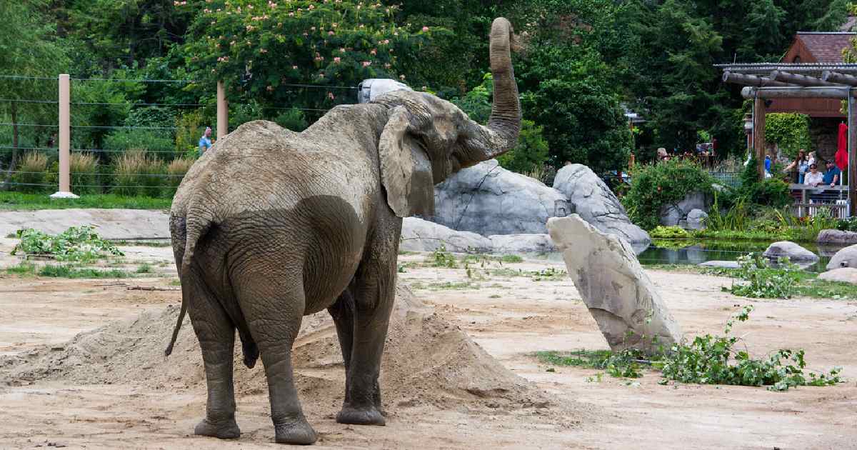 Cleveland Metroparks Zoo - Largest Zoos in the United States