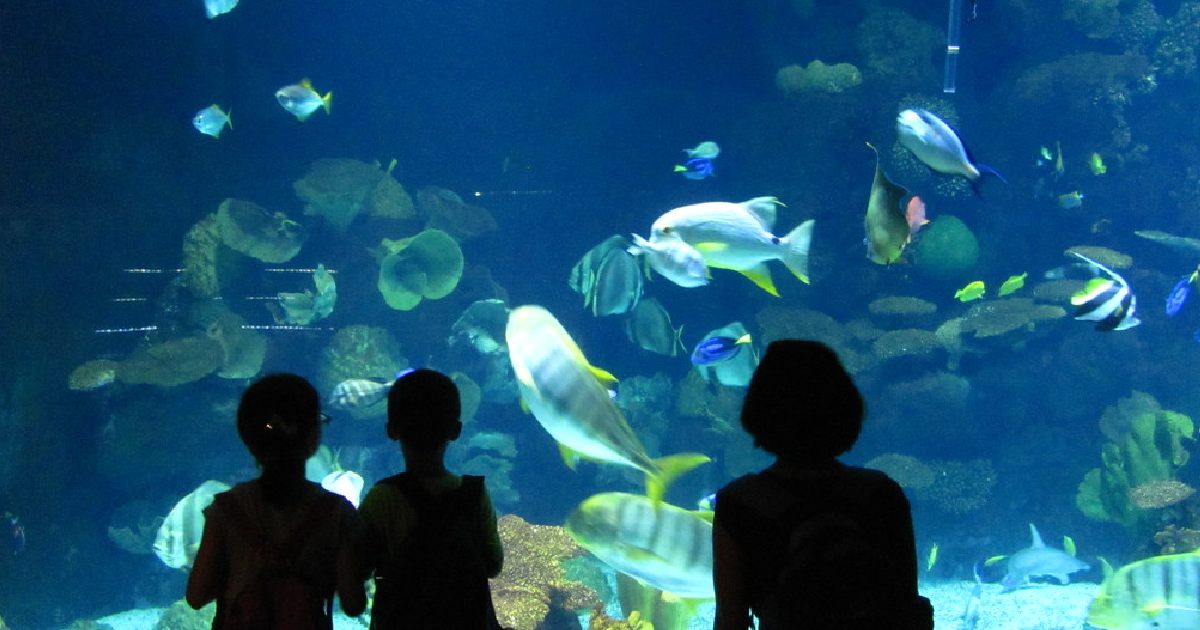 Columbus Zoo and Aquarium - Largest Zoos in the United States