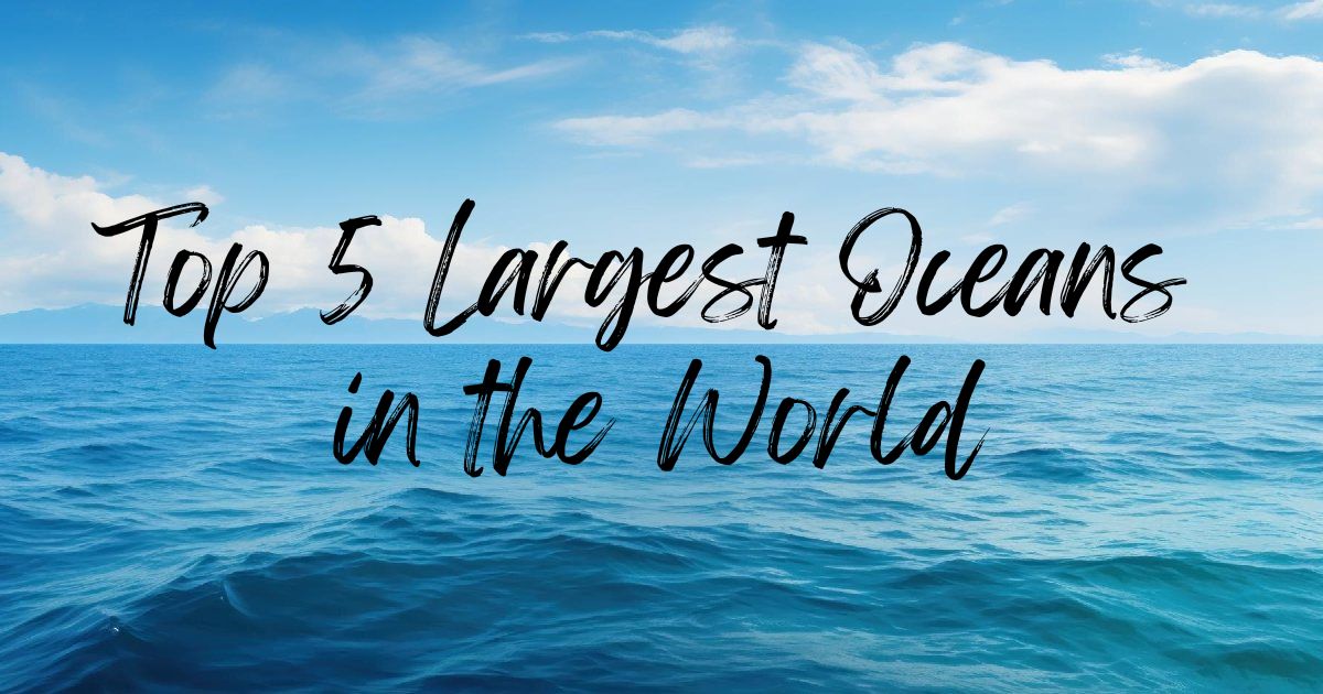 Discover the Top 5 Largest Oceans in the World Discover the Top 5 Largest Oceans in the World