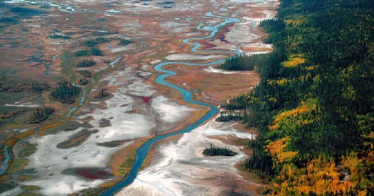 Wood Buffalo National Park - Largest National Parks in the World