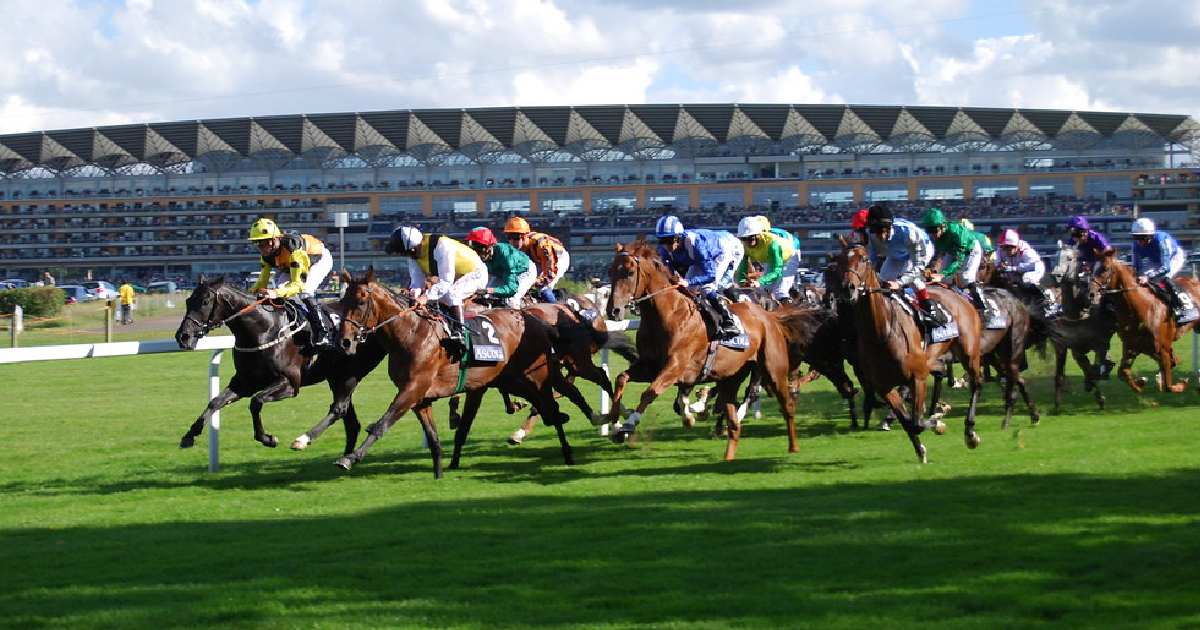 Ascot - biggest horse racing tracks in the world