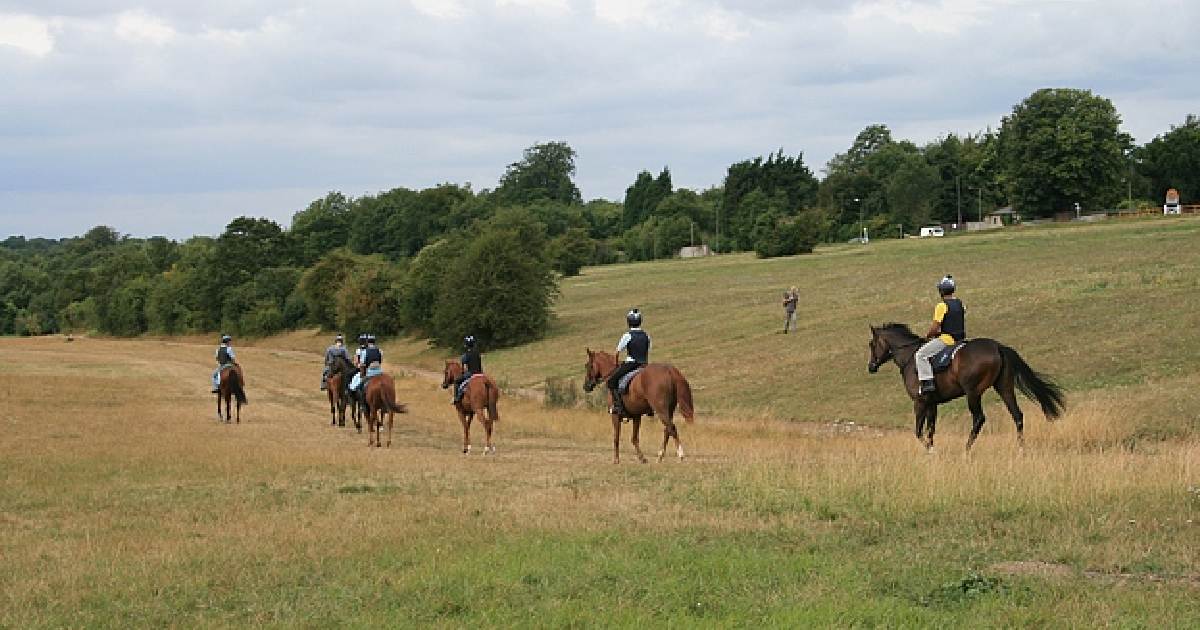 Epsom Downs - biggest horse racing tracks in the world