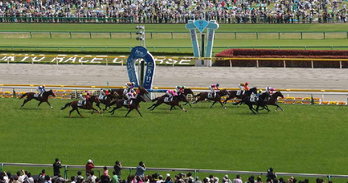 Tokyo Racecourse - biggest horse racing tracks in the world