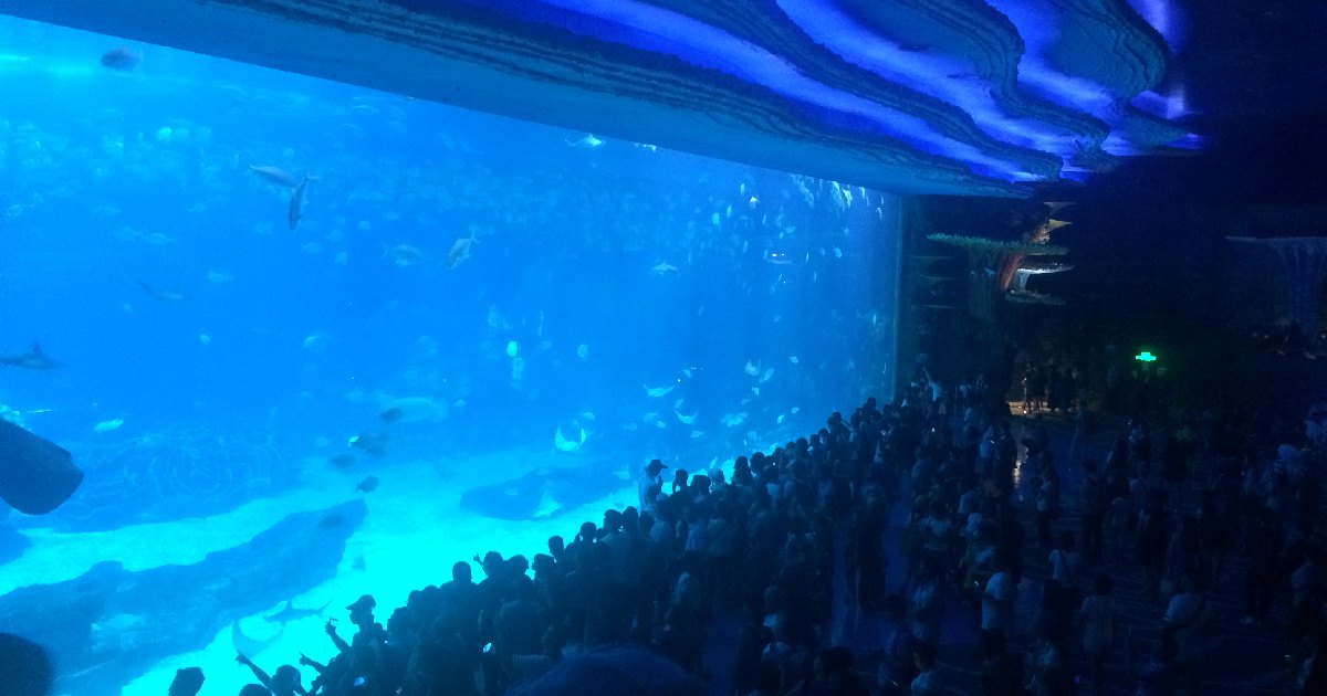 Chimelong Ocean Kingdom - largest aquariums in the world