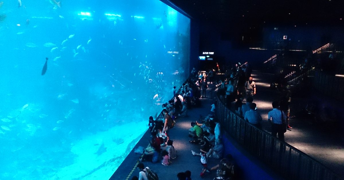 S.E.A. Aquarium - largest aquariums in the world