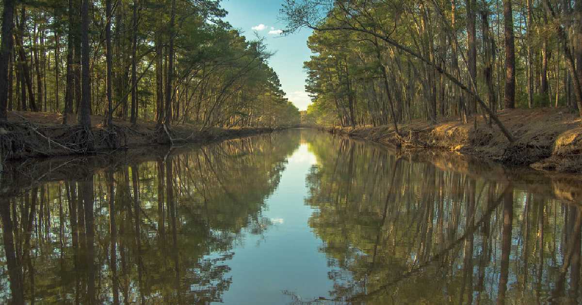 Caddo Lake - biggest lakes in texas